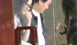 刘大锤爆料刘亦菲视频,事件背后真相揭秘