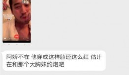 网红出轨爆料视频大全,视频大全背后的真相与反思