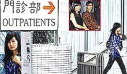 龙宝宝爆料最新,揭秘娱乐圈最新热点事件