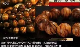 沉香吃瓜爆料视频,视频爆料背后的惊人真相