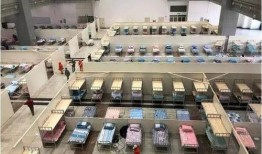 郑州爆料方舱医院事件视频,真相与争议并存