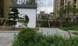 儋州家园广场爆料事件视频,视频揭露惊人真相