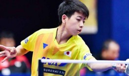 国乒早期爆料恋情视频,甜蜜瞬间回顾