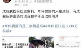 成毅爆料录音视频下载,揭秘娱乐圈幕后真相