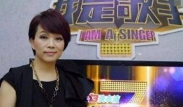 陈明爆料歌曲视频播放在线观看,歌曲视频在线观看，揭秘幕后故事