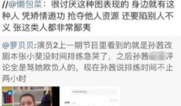 张小斐黑料爆料视频,揭秘娱乐圈背后的真相