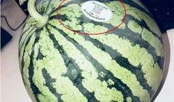 酒吧吃瓜网红是谁啊,酒吧吃瓜网红是谁？网络热议背后的真相