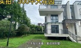住别墅的女人在线观看,揭秘奢华生活的背后故事