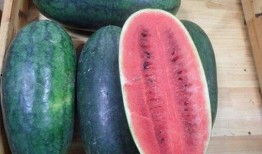 黑料吃瓜中心今日吃瓜免费,今日免费吃瓜，揭秘娱乐圈幕后真相！