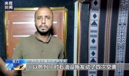 肉嫁视频在线观看,一场跨越时空的浪漫邂逅