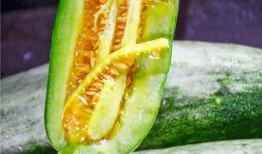 免费吃网红的瓜最新,免费吃瓜背后的秘密与真相