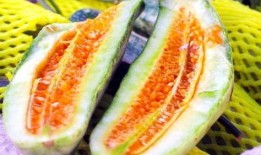 吃瓜爆红免费阅读