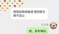 日本圈内人爆料视频网站,视频网站背后的惊人内幕