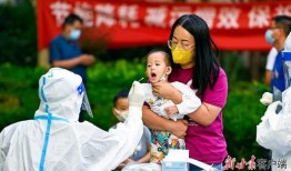 兰州核酸爆料最新消息,最新爆料揭示惊人真相