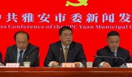 雅安热点爆料新闻,最新热点爆料，揭秘事件真相