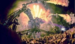 爆炸蜘蛛最新爆料,揭秘神秘生物的惊人真相与未来动向