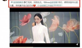 镜的爆料视频,揭秘娱乐圈幕后真相