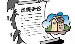 二八案虚假诉讼最新爆料